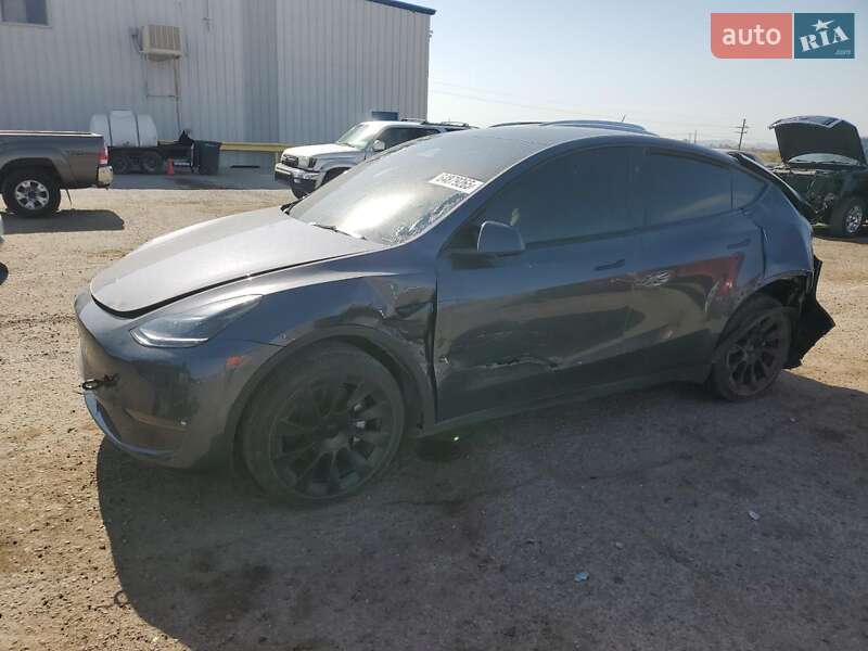 Внедорожник / Кроссовер Tesla Model Y 2023 в Киеве