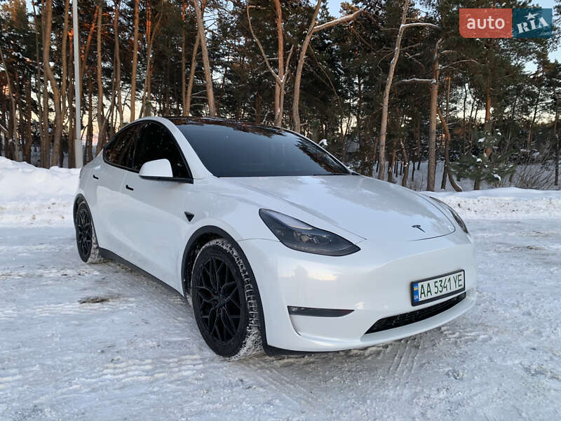 2023 Tesla Model Y, VIN 7SAYGDEF8PF815693:plate — фото 1 (autoria)
