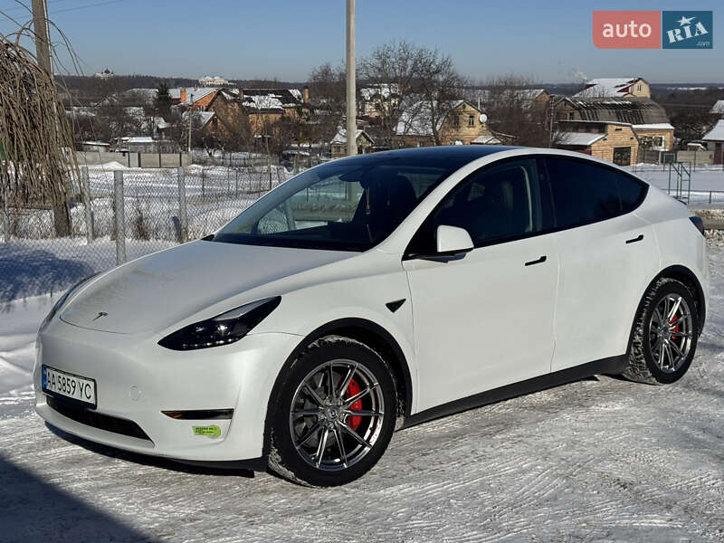 2023 Tesla Model Y, VIN 7SAYGDEF8PF800742:plate — фото 1 (autoria)