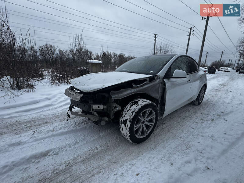 Позашляховик / Кросовер Tesla Model Y 2023 в Ірпені