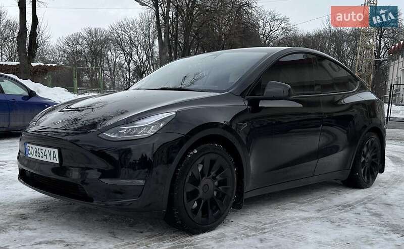 2021 Tesla Model Y, VIN 5YJYGAEEXMF304033:plate — фото 1 (autoria)