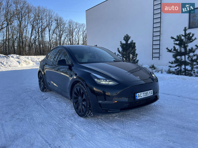 Позашляховик / Кросовер Tesla Model Y 2022 в Луцьку