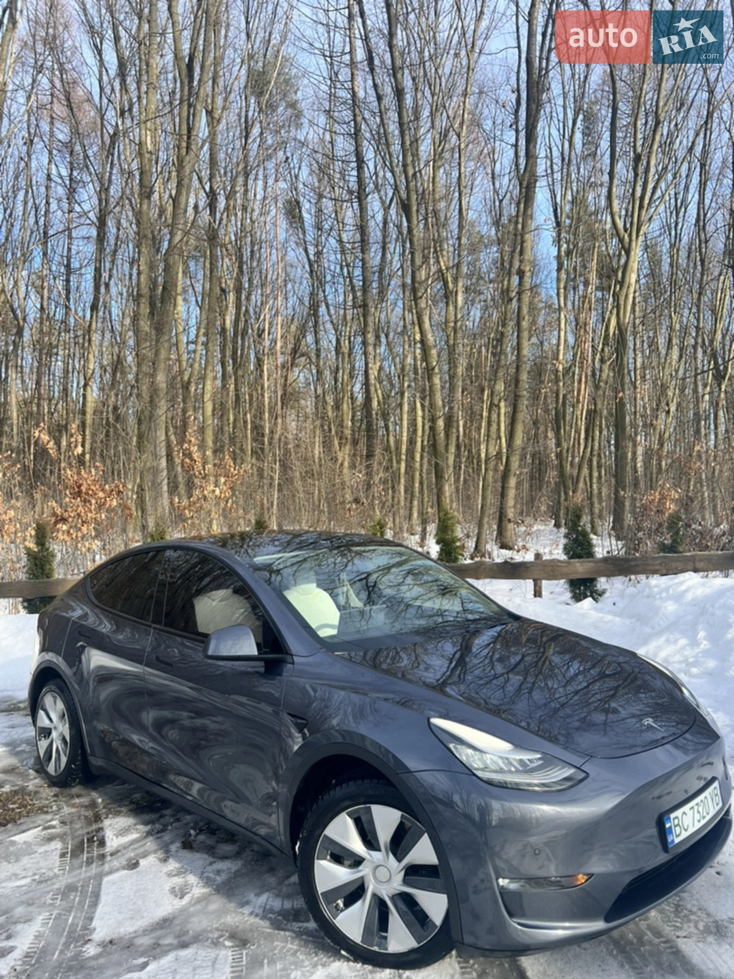 2020 Tesla Model Y - мініатюра 2