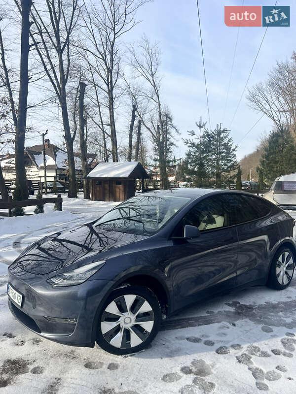 Позашляховик / Кросовер Tesla Model Y 2020 в Львові