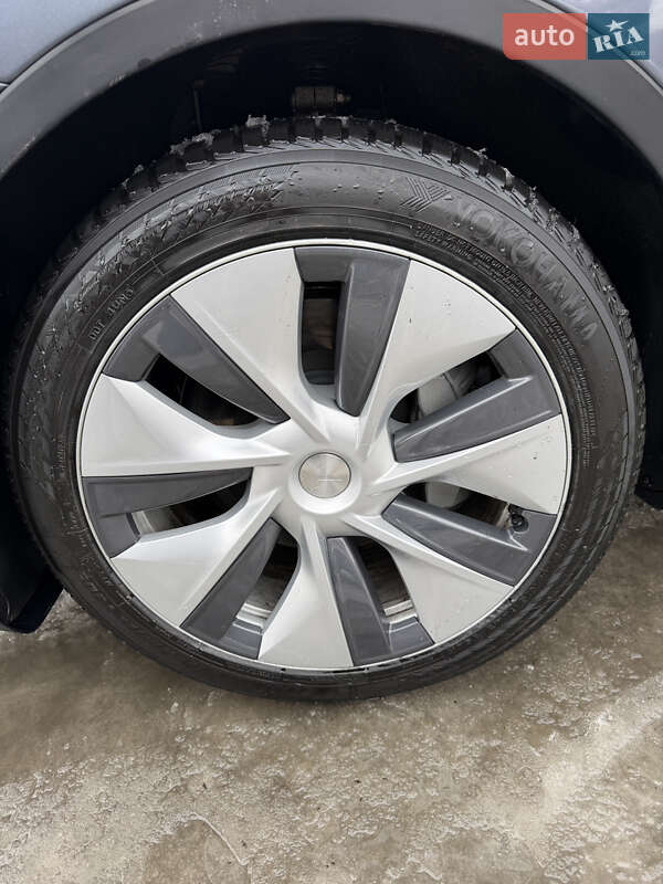 Позашляховик / Кросовер Tesla Model Y 2023 в Львові