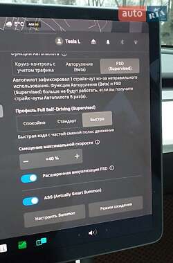 Позашляховик / Кросовер Tesla Model Y 2021 в Запоріжжі