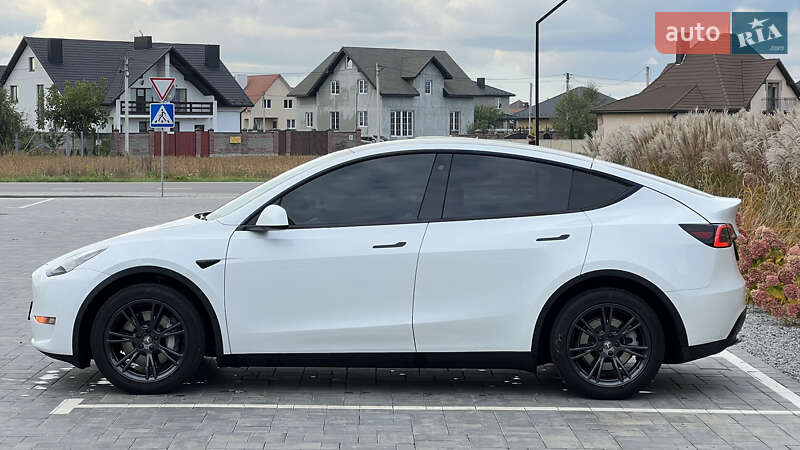 Позашляховик / Кросовер Tesla Model Y 2021 в Луцьку