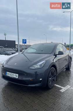 Внедорожник / Кроссовер Tesla Model Y 2024 в Житомире