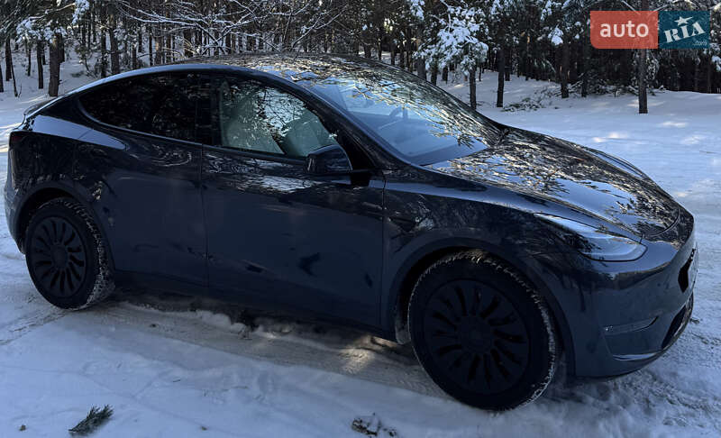Внедорожник / Кроссовер Tesla Model Y 2024 в Броварах