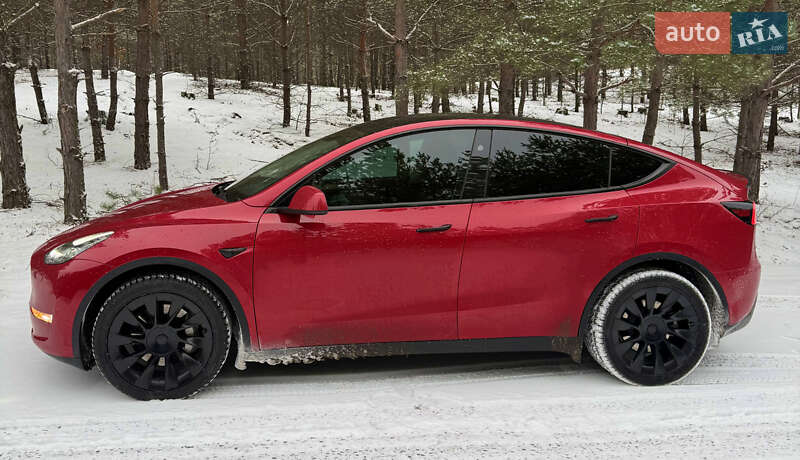 Внедорожник / Кроссовер Tesla Model Y 2023 в Броварах