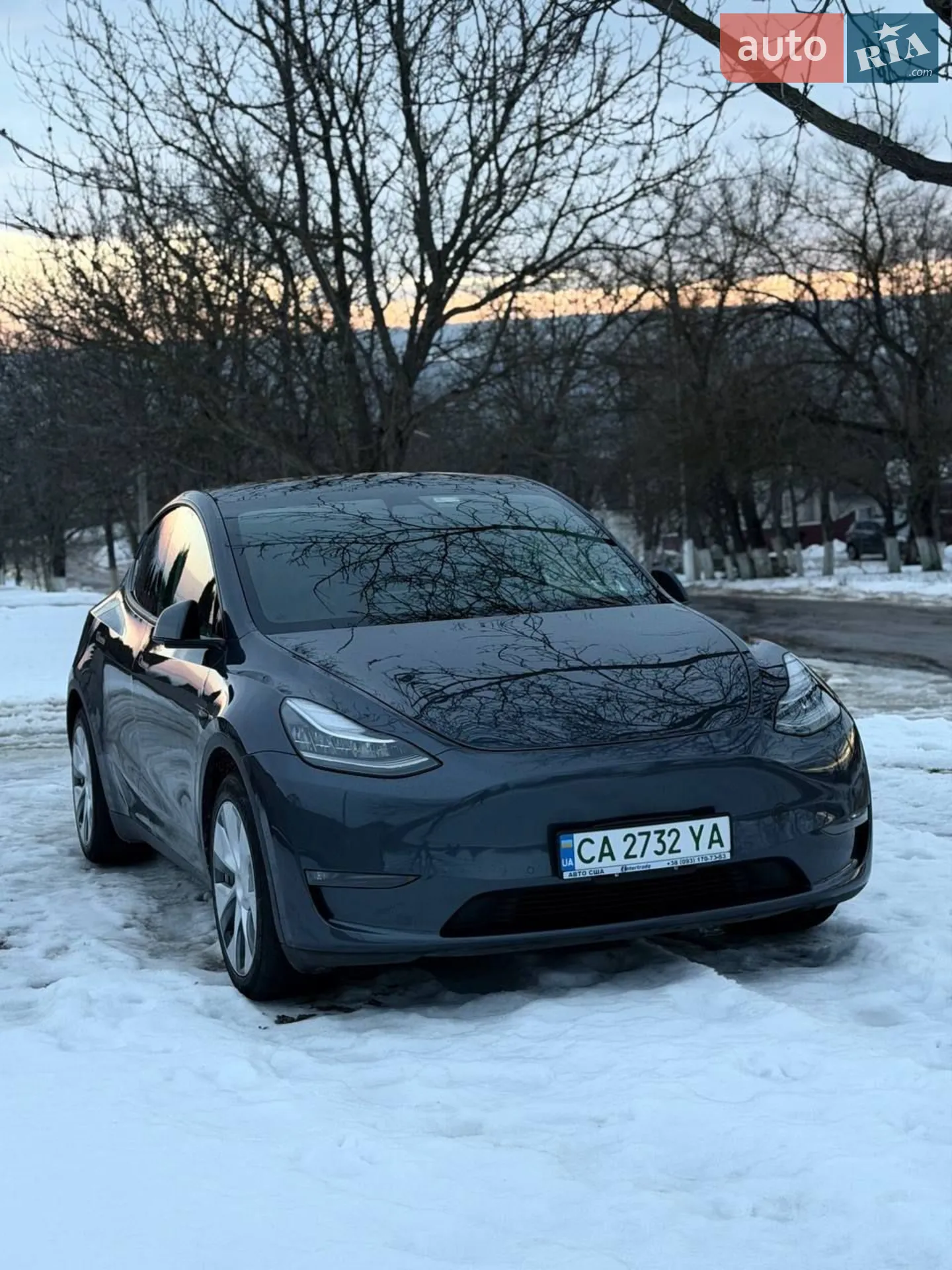 2021 Tesla Model Y - фото 1