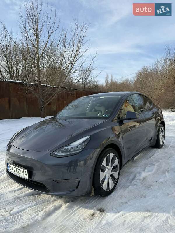 Позашляховик / Кросовер Tesla Model Y 2021 в Борщеві