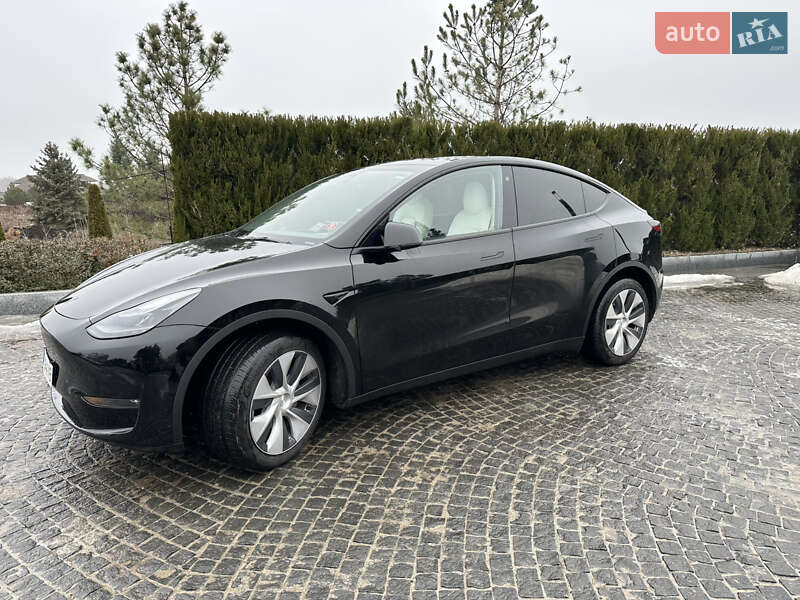 Внедорожник / Кроссовер Tesla Model Y 2022 в Днепре