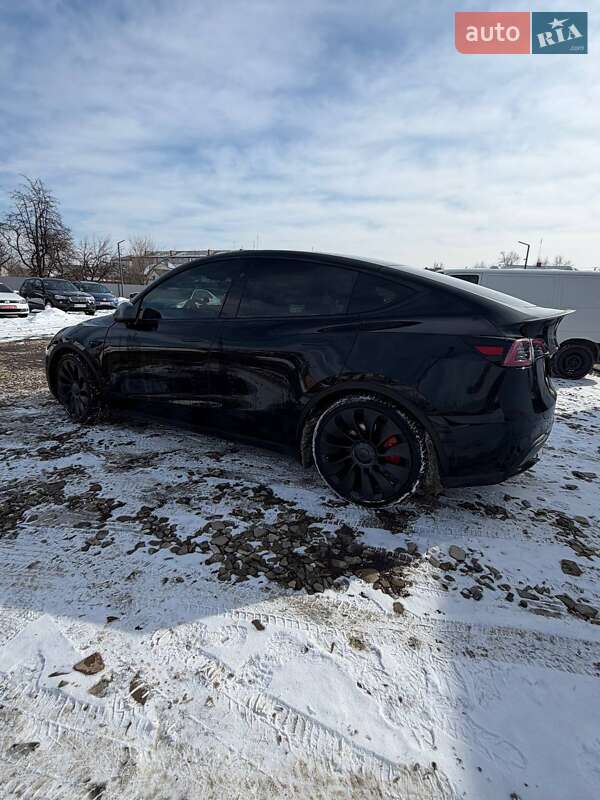 Позашляховик / Кросовер Tesla Model Y 2023 в Самборі