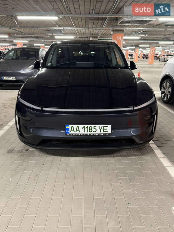 2025 Tesla Model Y, VIN 7SAYGDEE1TF395633:plate — photo 1 (autoria)