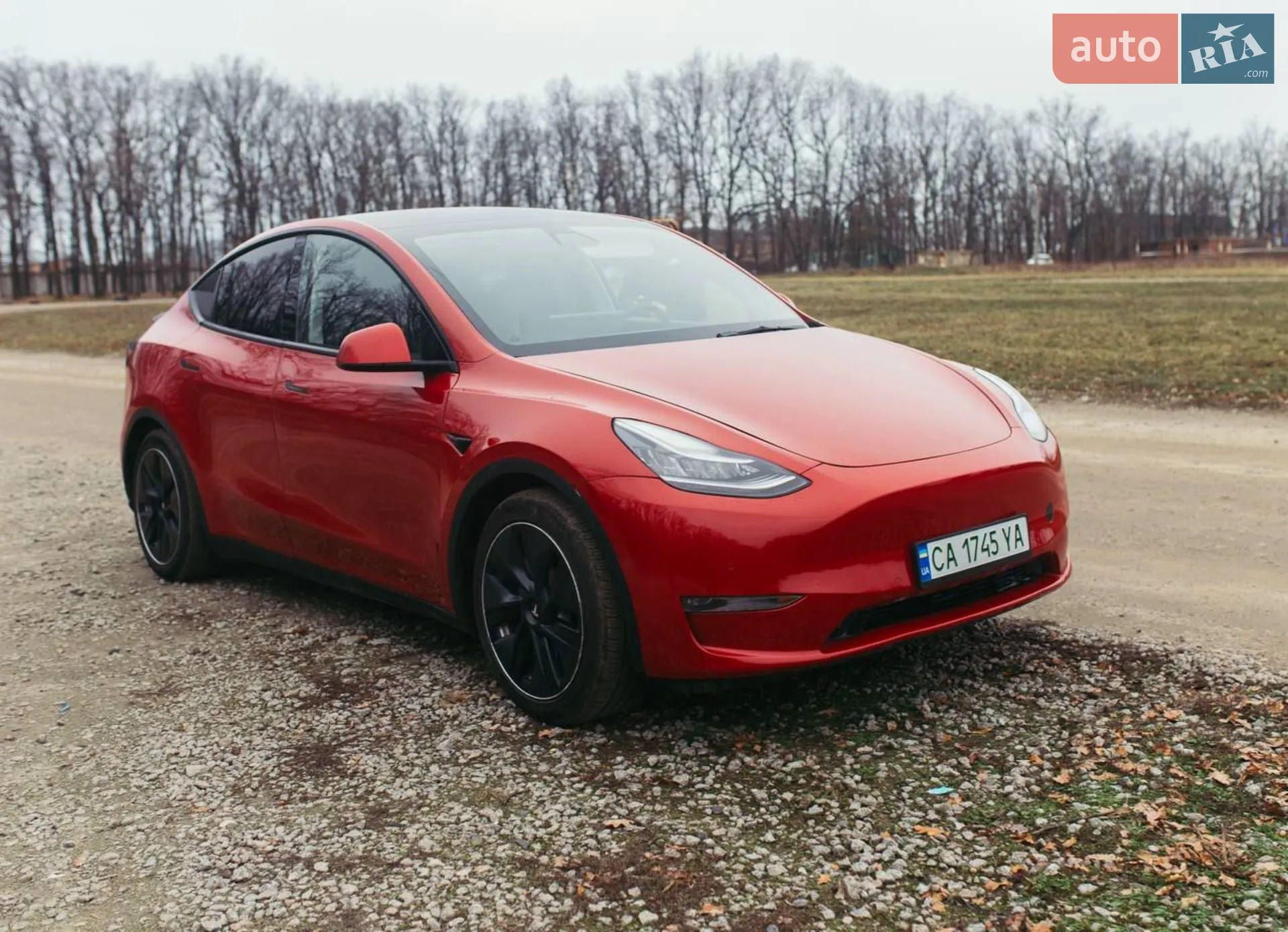 2020 Tesla Model Y - фото 1