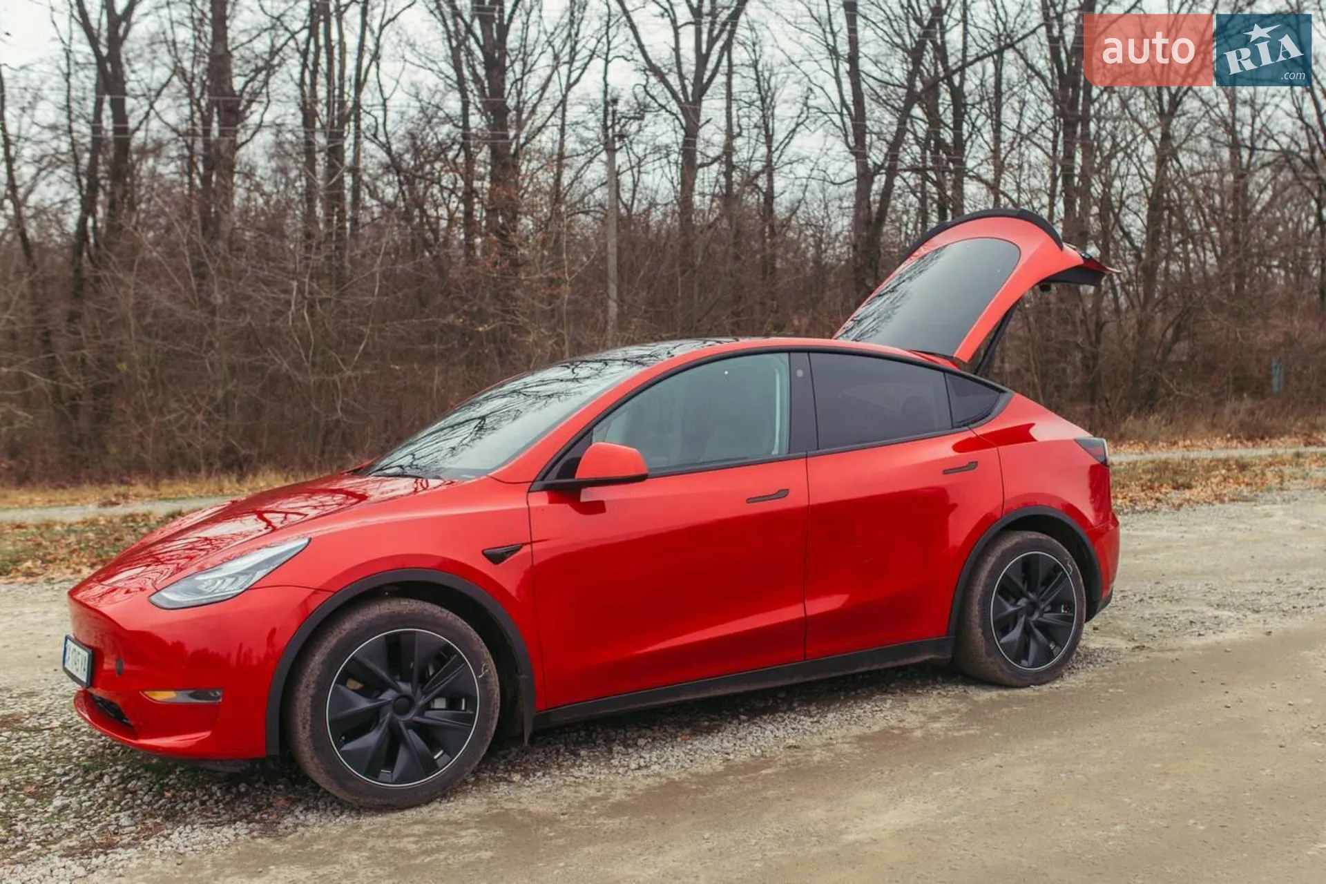 2020 Tesla Model Y - мініатюра 21