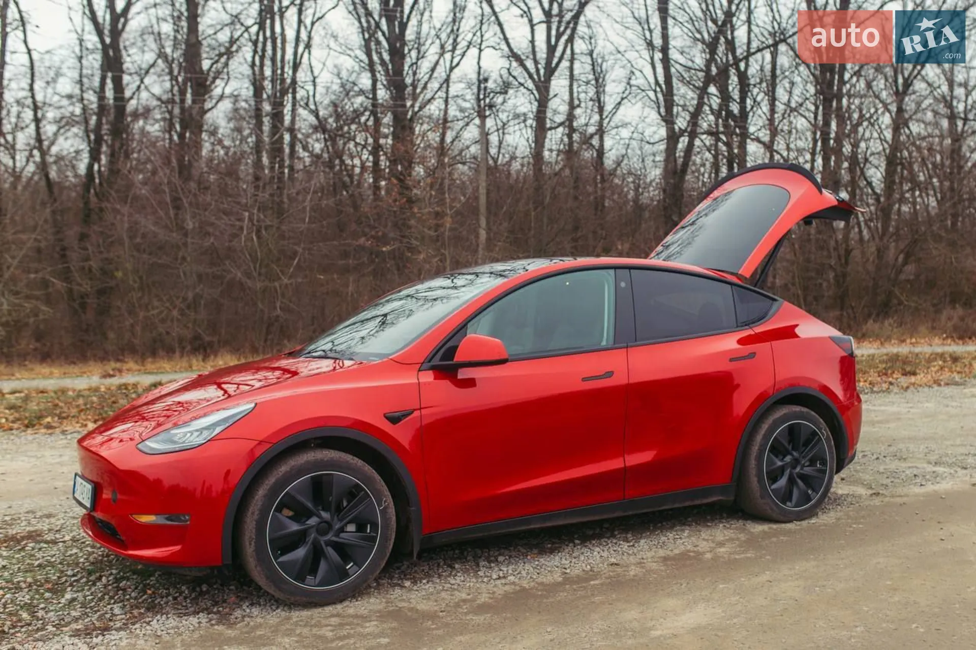 2020 Tesla Model Y - мініатюра 46