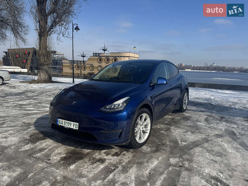 2020 Tesla Model Y, VIN 5YJYGDEE1LF009032:plate — фото 1 (autoria)