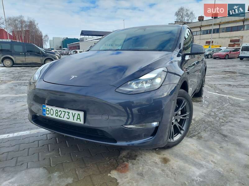 Позашляховик / Кросовер Tesla Model Y 2024 в Тернополі