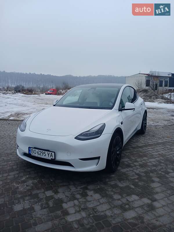 Позашляховик / Кросовер Tesla Model Y 2021 в Теребовлі