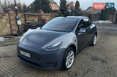 Внедорожник / Кроссовер Tesla Model Y 2023 в Луцке