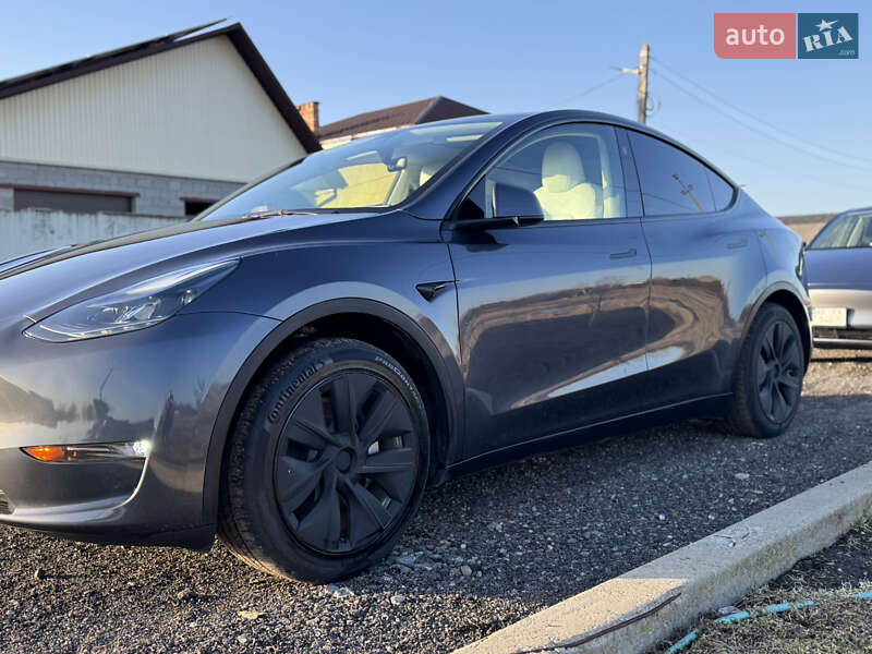 Внедорожник / Кроссовер Tesla Model Y 2023 в Днепре