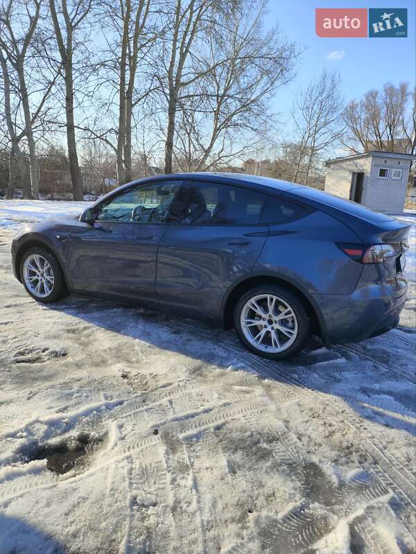 Внедорожник / Кроссовер Tesla Model Y 2023 в Борисполе