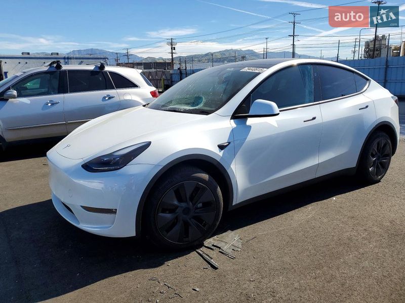 Внедорожник / Кроссовер Tesla Model Y 2024 в Виннице