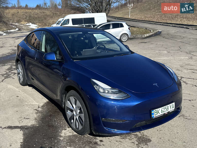 Позашляховик / Кросовер Tesla Model Y 2023 в Рівному