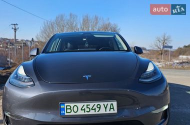 Позашляховик / Кросовер Tesla Model Y 2021 в Тернополі