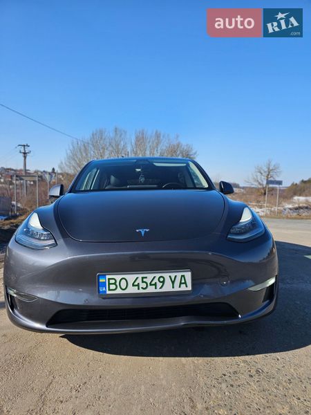Позашляховик / Кросовер Tesla Model Y 2021 в Тернополі