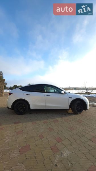 Внедорожник / Кроссовер Tesla Model Y 2020 в Золочеве