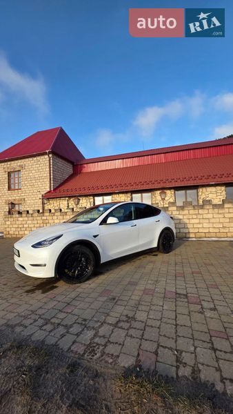 Внедорожник / Кроссовер Tesla Model Y 2020 в Золочеве