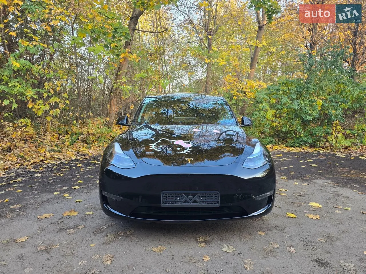 2022 Tesla Model Y - мініатюра 27