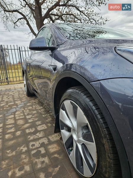 Позашляховик / Кросовер Tesla Model Y 2023 в Кривому Розі