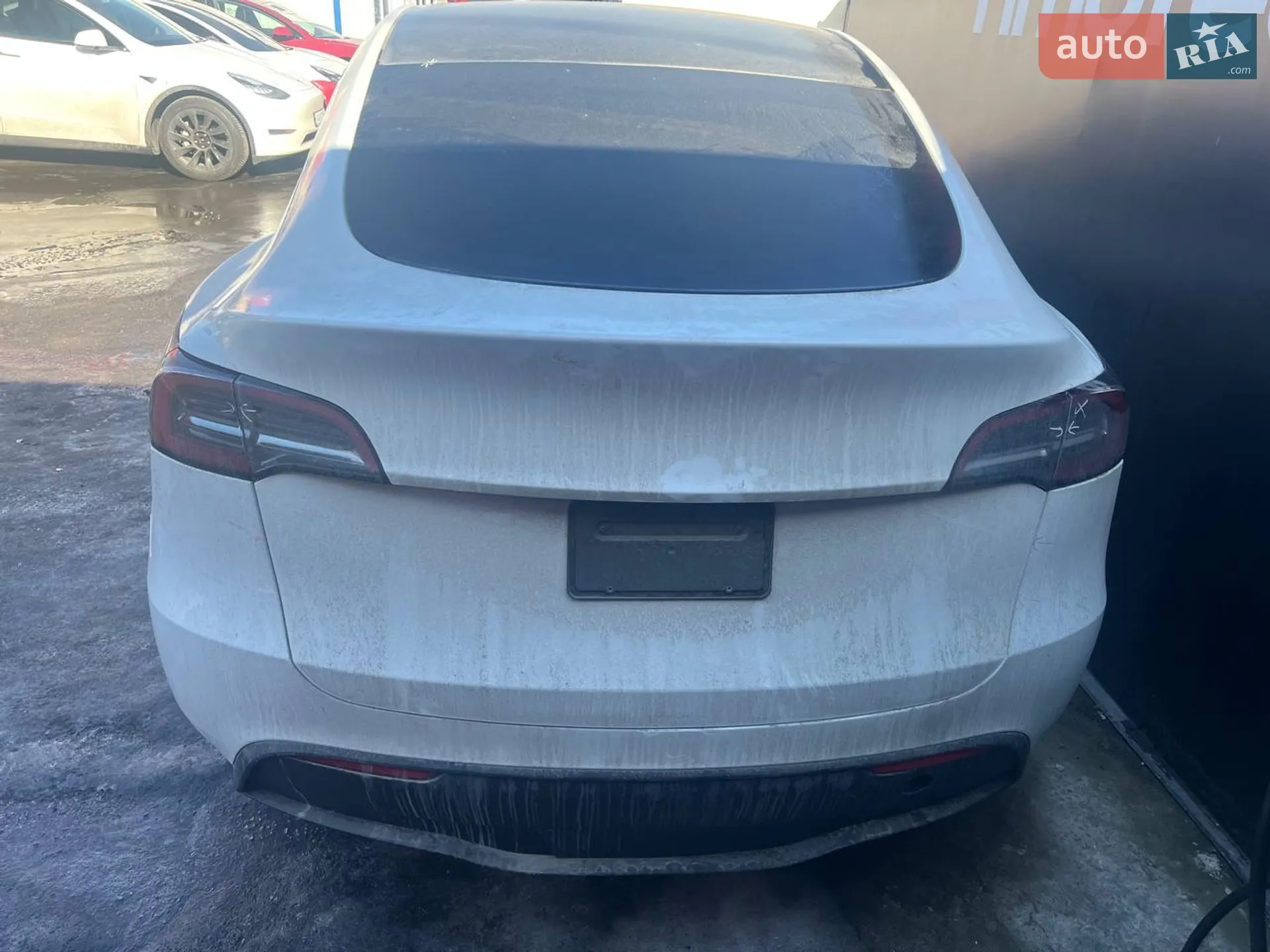 2023 Tesla Model Y - мініатюра 6