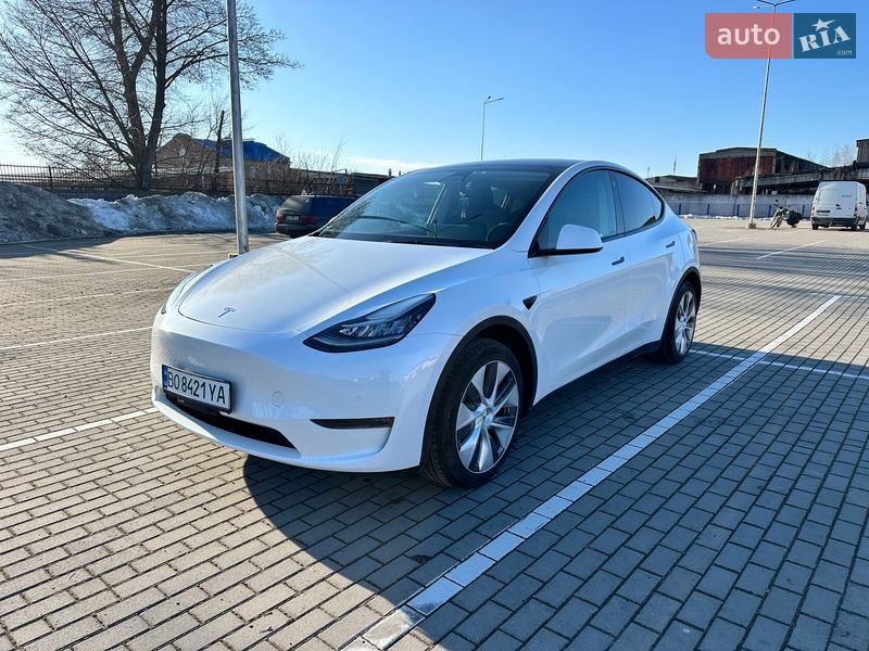 Позашляховик / Кросовер Tesla Model Y 2022 в Тернополі