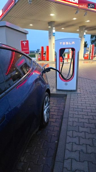 Позашляховик / Кросовер Tesla Model Y 2023 в Кам'янці-Бузькій