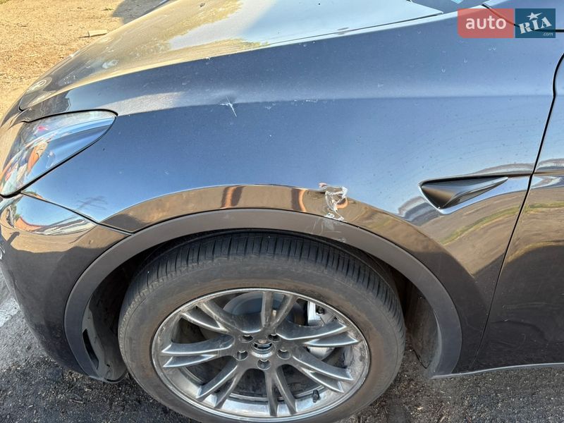 Позашляховик / Кросовер Tesla Model Y 2024 в Дніпрі