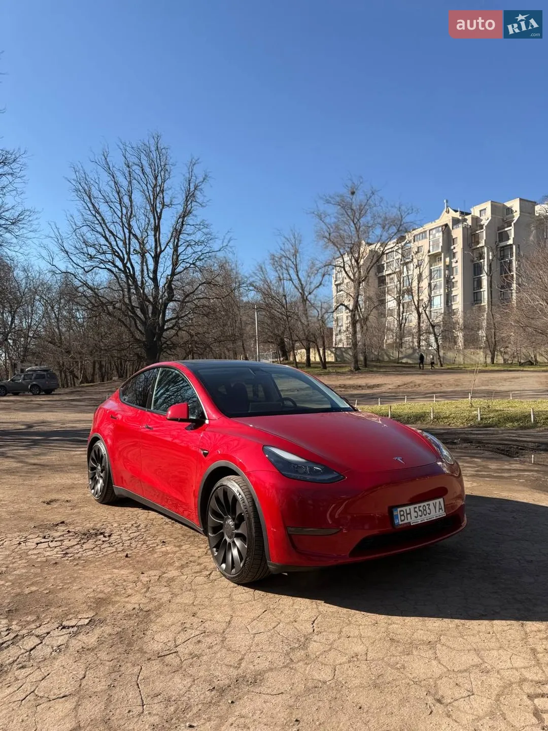 2023 Tesla Model Y - фото 1