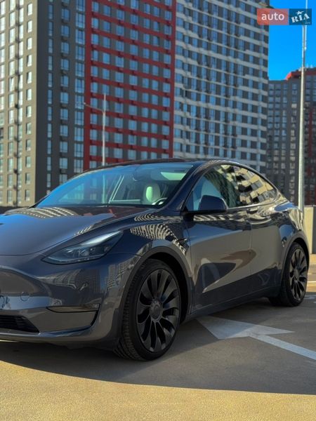 Внедорожник / Кроссовер Tesla Model Y 2022 в Киеве