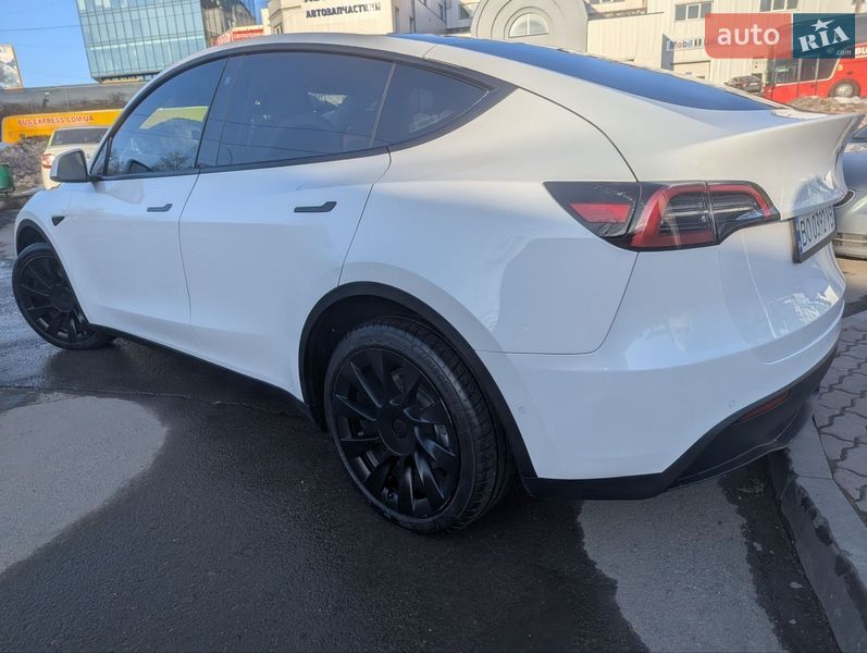 Внедорожник / Кроссовер Tesla Model Y 2021 в Тернополе