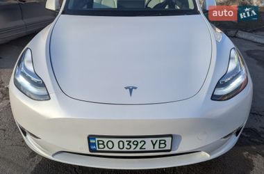 Внедорожник / Кроссовер Tesla Model Y 2021 в Тернополе