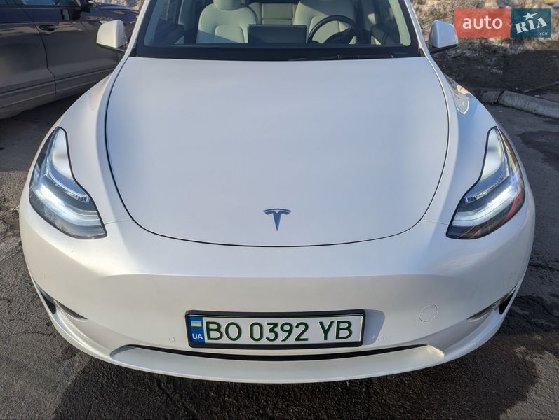 Внедорожник / Кроссовер Tesla Model Y 2021 в Тернополе