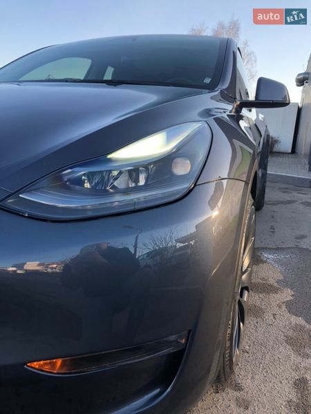 Внедорожник / Кроссовер Tesla Model Y 2023 в Житомире