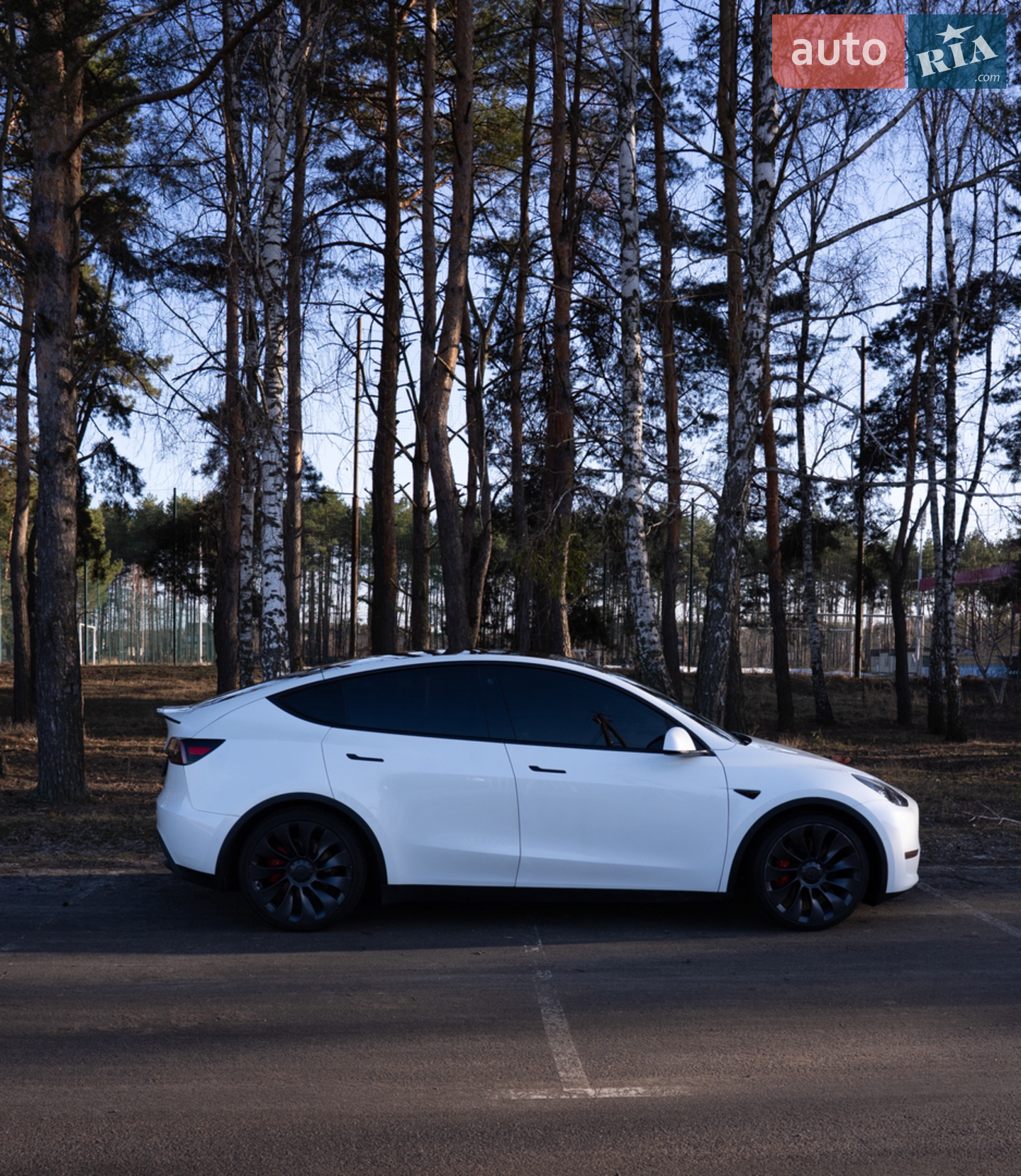 2021 Tesla Model Y - мініатюра 8