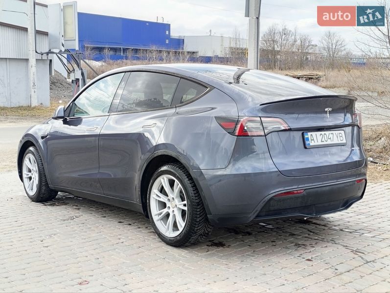 Внедорожник / Кроссовер Tesla Model Y 2023 в Борисполе