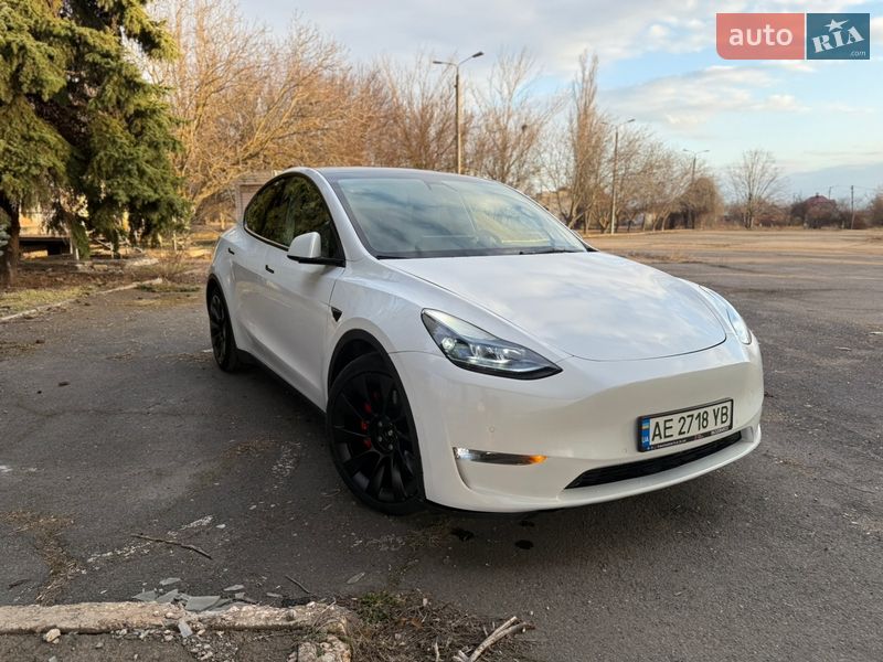 Позашляховик / Кросовер Tesla Model Y 2021 в Кривому Розі