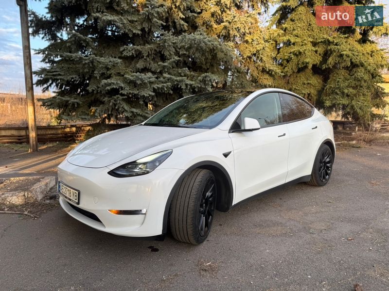 Позашляховик / Кросовер Tesla Model Y 2021 в Кривому Розі